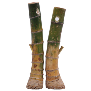 青竹水烟筒原竹头烟筒长短款手工竹子烟斗过滤烟壶湛江云南水烟具