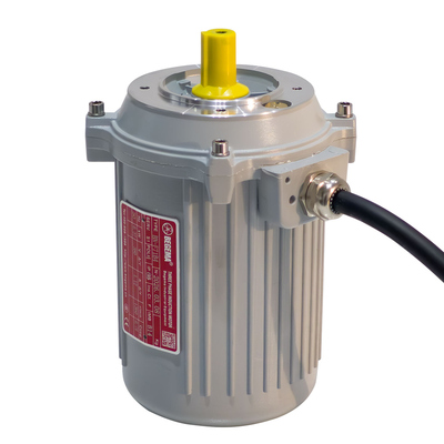 自动汽车防水电动机370W550W750W