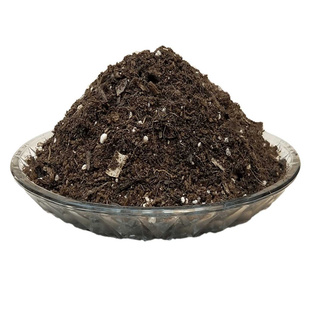 金山棕竹棕榈竹适用营养椰砖土盆景栽植物专用翻换育苗种植土透气