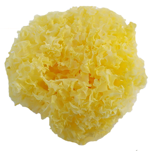 东北特产龙宾耳银耳黑龙江土特产干货天下耳白木耳新货200克