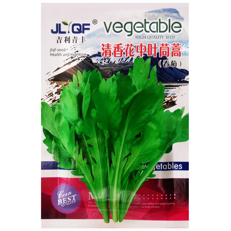 清香花中大叶茼蒿种子皇帝菜春菊种籽春秋四季青菜农家菜园蔬菜孑