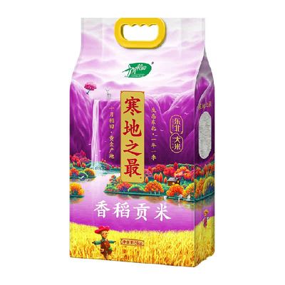 十月稻田香稻贡米5kg×1袋