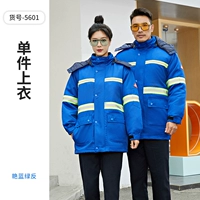 WXE-5601 Хлопковая куртка ярко-сине-зеленый