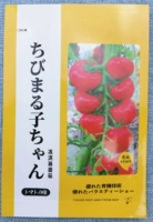 Мороженое помидоры 1000 шт. оригинальная упаковка (на фото)