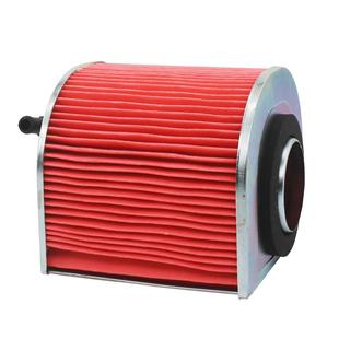 大地鹰王太子摩托车街头霸王DD250E-9A -9B-9C-5F空气过滤芯空滤