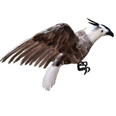 仿真羽毛老鹰cosplay拍摄道具