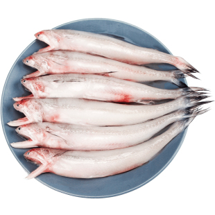 舟山特产新鲜龙头鱼豆腐鱼冷冻海鲜野生九肚鱼食水潺鱼4斤