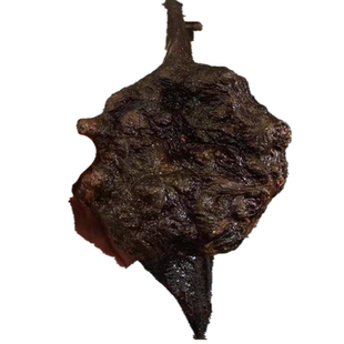 琥珀木松明子北沉香原木料雕刻练手火焰纹闪电纹手串料摆件朽木