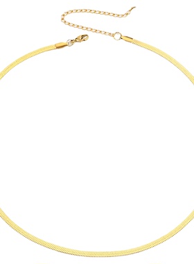金色不锈钢扁蛇链项链choker