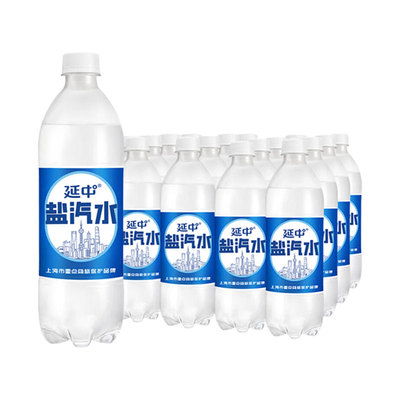 近期新货延中盐汽水600ml*20瓶