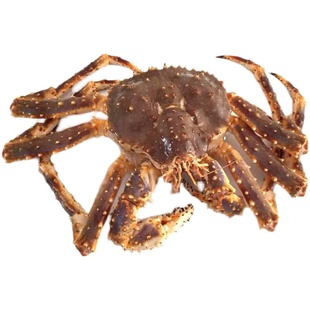 2026到港新货挪威冰鲜帝王蟹活冻阿拉斯加帝王蟹俄罗斯帝王蟹长腿