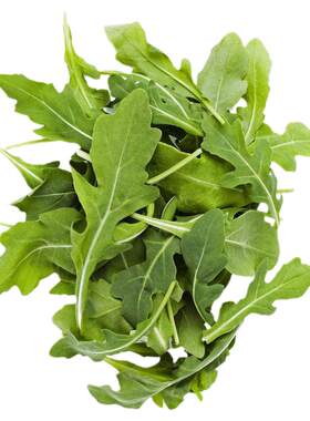 臭菜东北蘸酱菜野菜高发芝麻菜