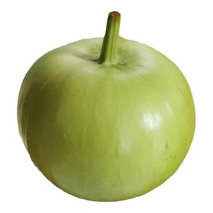 和利农苹果瓠瓜种籽短瓠瓜种子菜葫芦小瓠子蔬菜孑瓜种长瓢瓜 圆