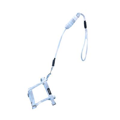 猫咪牵引绳Hoopet遛猫绳防挣脱猫