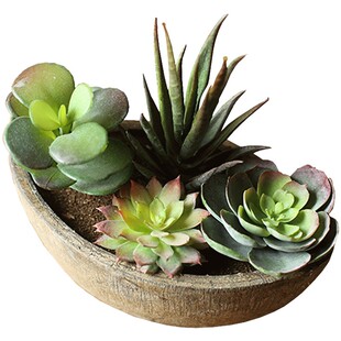 仿真多肉植物小盆栽摆件简约清新仿生假花桌面摆设装饰绿植小盆景