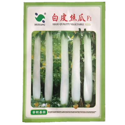 白玉丝瓜种子白皮肉丝瓜种籽春秋季无棱线丝瓜爬蔓蔬菜种孑口感佳