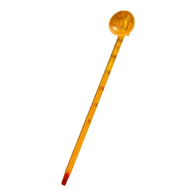 天然新鲜多肉仙人掌陆龟食物无药