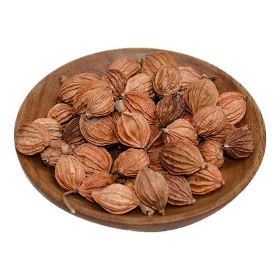 四川香砂仁500g商用炖肉香辛料