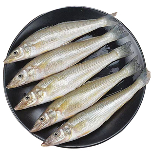 沙丁鱼新鲜冷冻海杂鱼大全炸鱼生野小鱼水产沙钻鱼沙尖去鳞去内脏