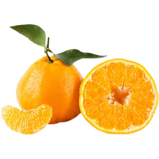 正宗蒲江浦江春见耙耙柑新鲜水果礼盒装春季送礼送孕妇领导客户