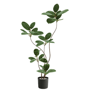 仿真橡皮树室内高级感假绿植电视柜装饰落地式植物盆栽仿生黑金刚