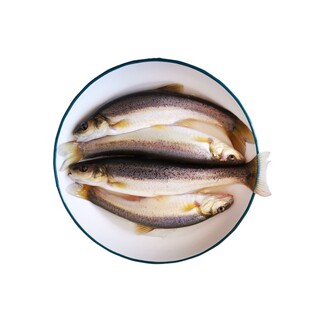 东北柳根鱼江柳根鲜活速冻真空淡水鱼大柳根保温箱加冰袋发货2斤