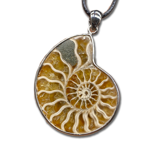 菊石挂件天然斑彩螺化石切片镶嵌925银情侣吊坠 简约百搭链