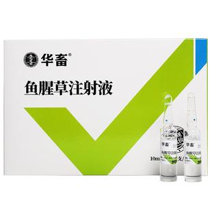 华畜兽药鱼腥草注射用液兽用正品母羊猪牛产后康益母消炎头孢针剂