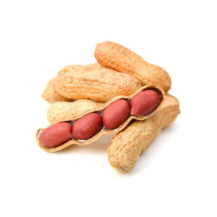 花生种子红皮花生去壳带壳生黑皮白皮红花生米颗粒饱满自然晒干