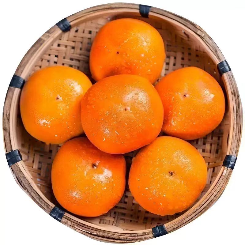 巧克力脆柿子新鲜水果脆甜硬