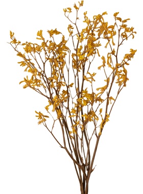 进口干花家居轻奢软装搭配花束爪