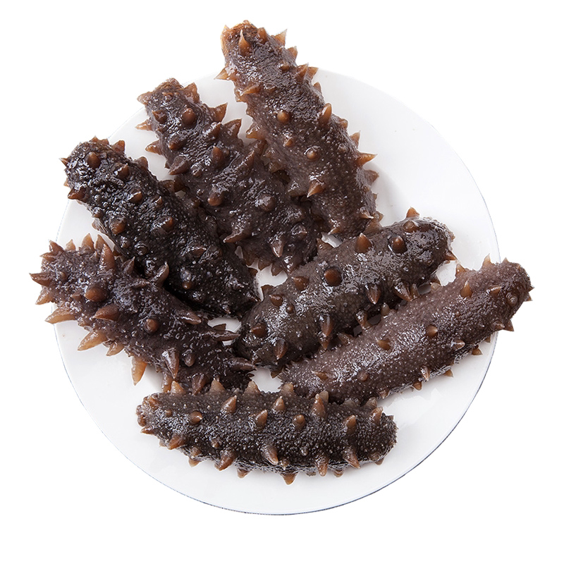 燕茸堂大连即食海参鲜食鲜蒸海参孕妇滋补纯淡干海参刺参礼盒装
