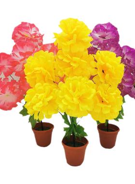 祭祀墓地摆放上坟清明花