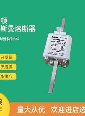 议价全新快速熔断器保险170M3561 170M3562 170M3563 170M3564