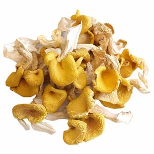 鸡油菌干货菌云南蘑菇新鲜干黄丝菌菇黄金菇榆黄菇煲汤500g香菇