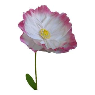 巨型纸花花艺虞美人仿真花香槟色网红花背景网红打卡布置仿真纸花