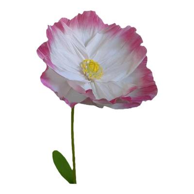 网红背景虞美人香槟色花艺网红