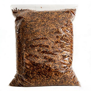 大麦茶 炒熟烘焙浓香型 餐饮饭店商用 散装耐泡解腻冲泡花草茶