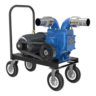 养殖场专用抽粪泵化粪池清理养猪场吸粪泵高扬程排污水淤泥泥浆泵