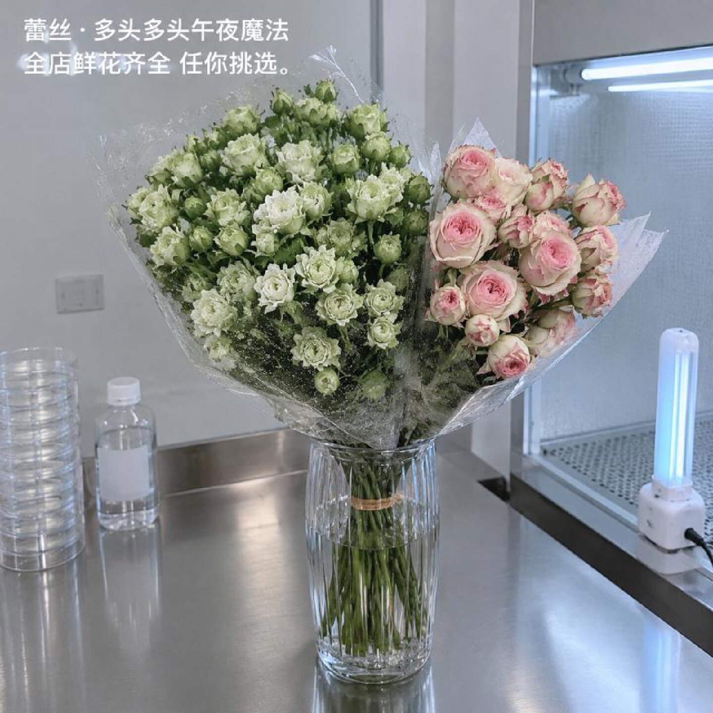 多头午夜魔法配蕾丝多头鲜切花斗南直发昆明鲜花花束搭配婚庆花材