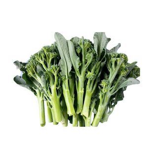 西兰苔种子芥兰种籽芥菜苔种子四季春种耐热阳台庭院蔬菜种子大全