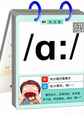 【大字版】英语48个音标教具