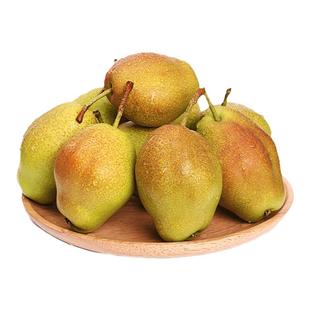 红香酥梨现摘贵妃红梨新鲜梨子当季正宗香酥梨雪梨脆甜酥脆