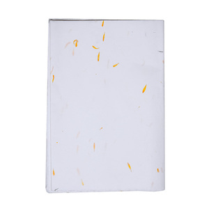 荣宝斋安徽泾县日星花草纤维云龙宣纸半生半熟作品纸小楷书法国画专用纸三分熟宣纸熟宣信笺纸一笔笺手工宣纸