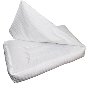 双层防漏枕套酒店专用防漏枕套防尘防脏防灰荞麦壳枕套高枕双层布