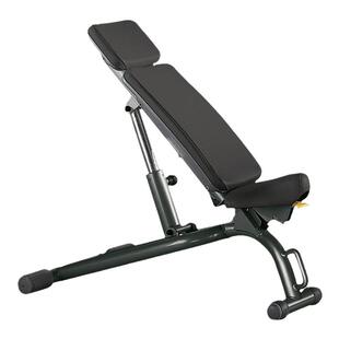 Technogym泰诺健可调节式健身椅PA04哑铃杠铃辅助练习椅 进口