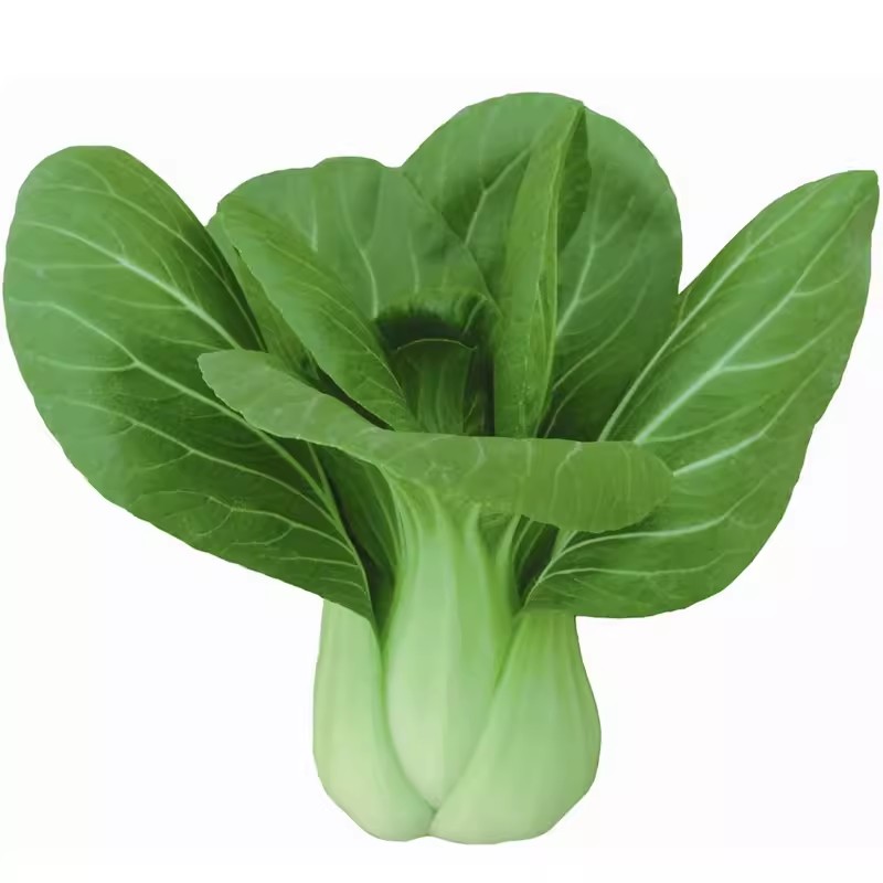 四季蔬菜种子阳台盆栽各种菜种籽白菜萝卜空心菜苦瓜丝瓜西瓜快菜