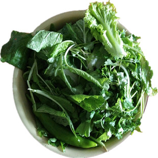 新鲜小萝卜菜大白菜叶臭菜东北蘸酱菜打饭包绿大白菜叶子顺丰包邮