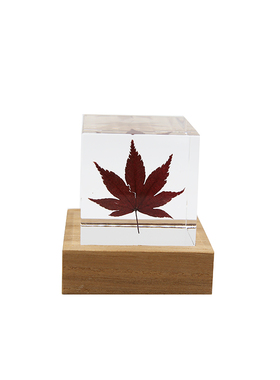 NEWKNG流晶透明居家装饰雪熊摆件