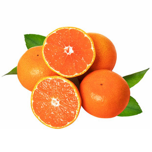 现摘正宗临海涌泉蜜桔无核宫川橘子黄岩柑桔新鲜薄皮孕妇当季水果